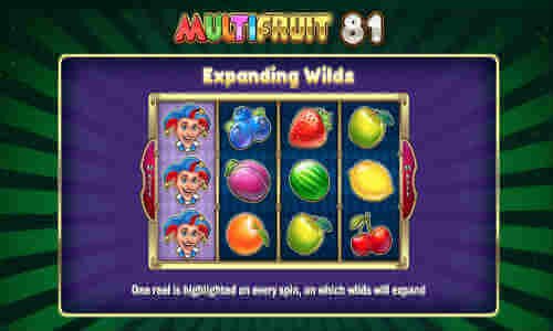 Multifuit 81 slot